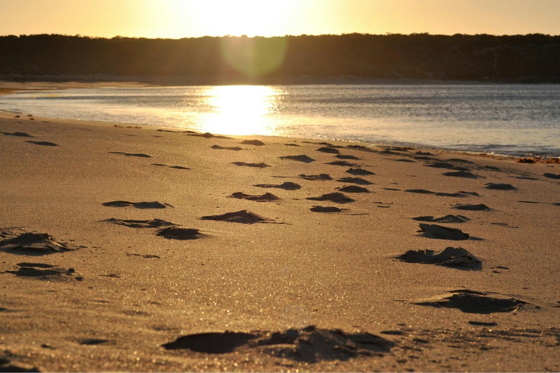 Yorke Peninsula Self-Drive tour