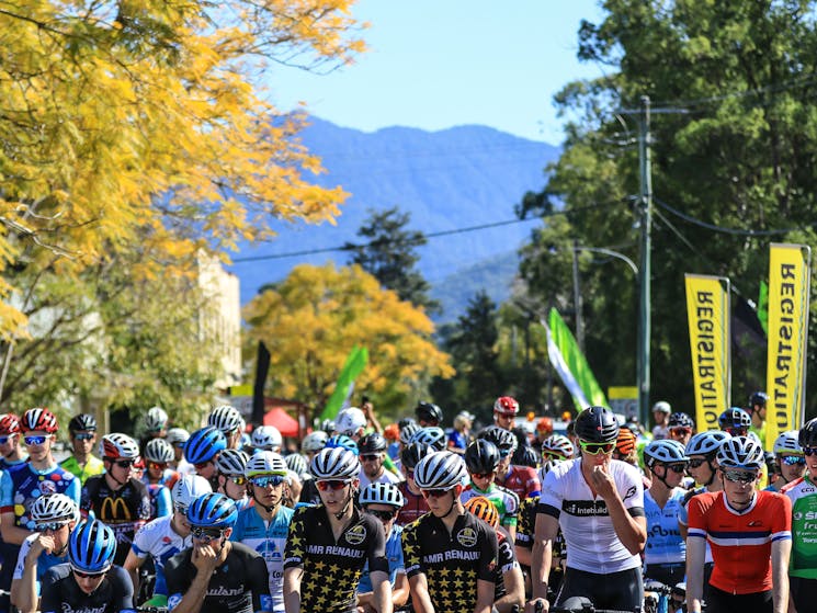 Startline in Tyalgum