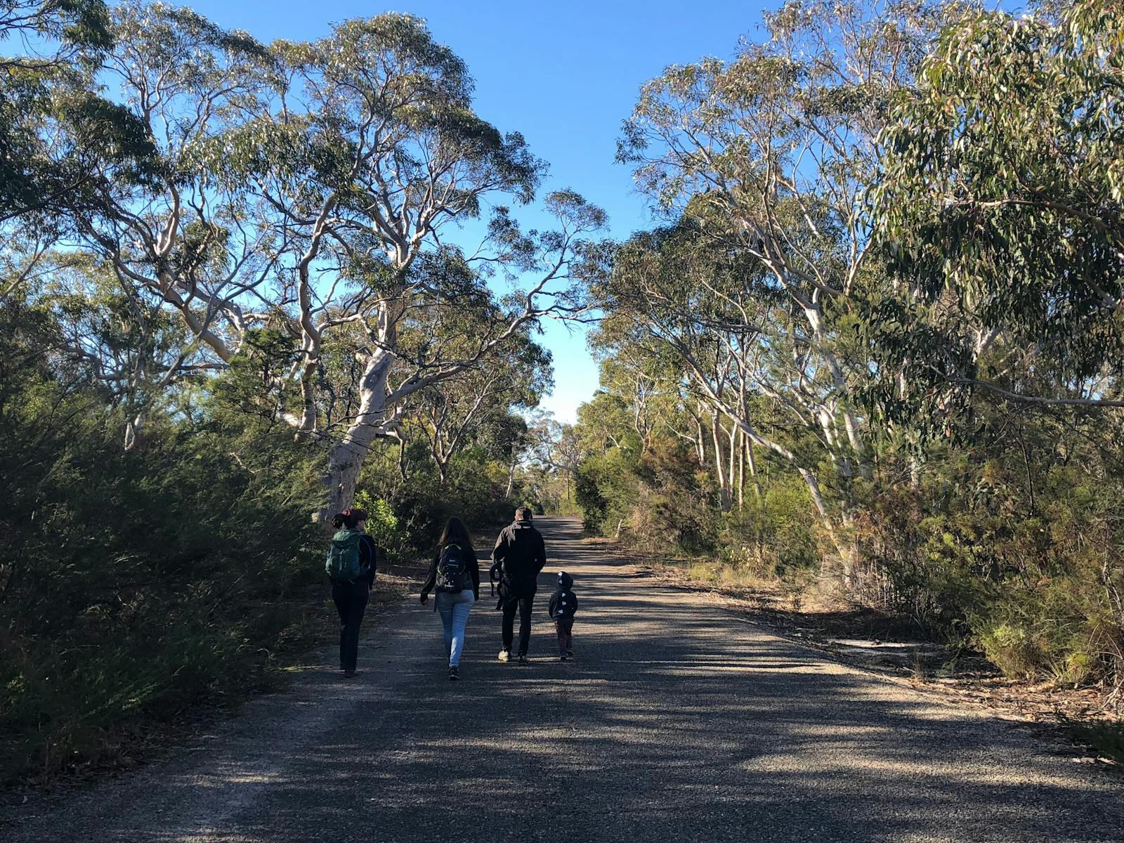 Image for Guided Indigenous Walks in Dharawal National Park - O'Hare's Lookout Trail