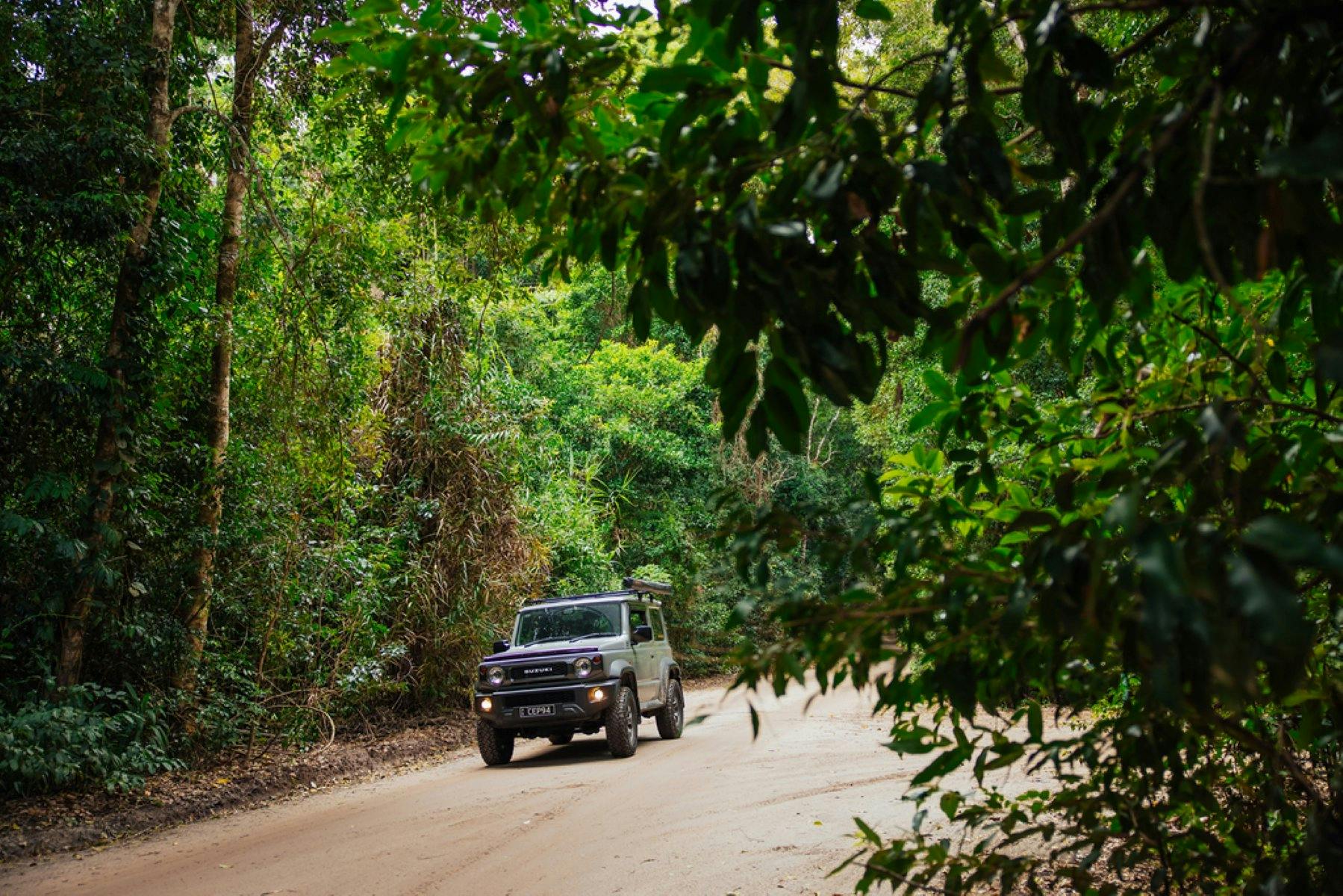 Toolara State Forest