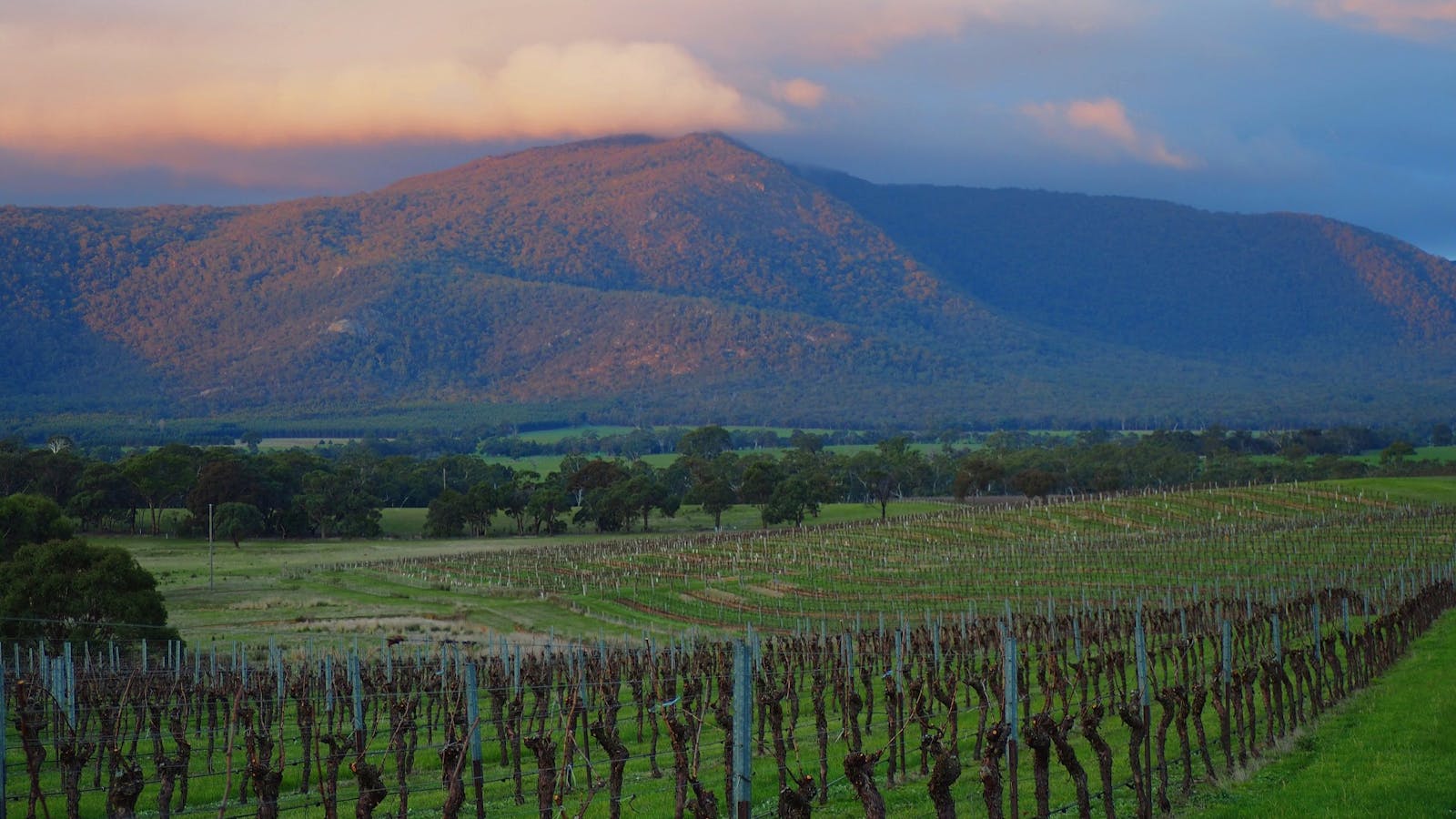 Mount Langi Ghiran