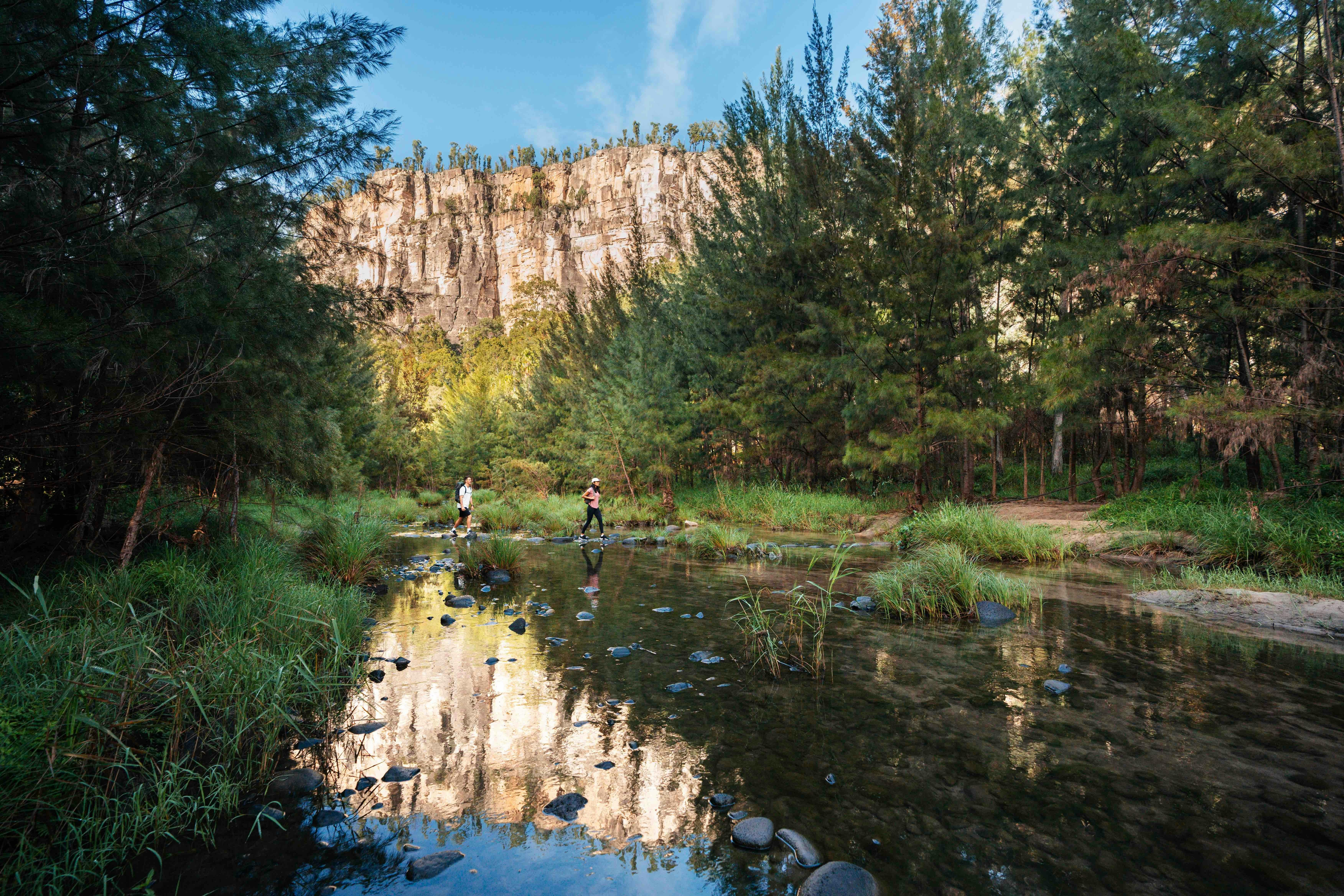 A gorge and sandstone cliffs