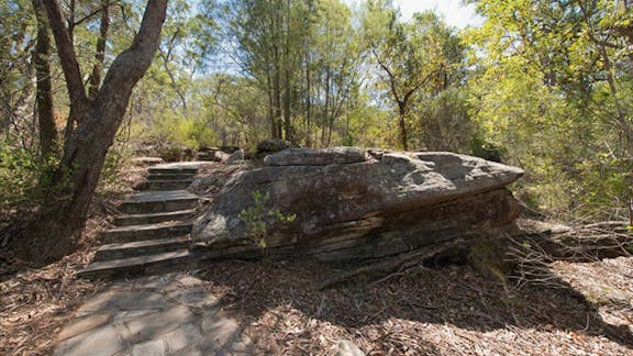 Mooney Mooney nature walk