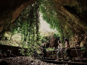 A tour group stands in a sinkhole with greenery hanging down
