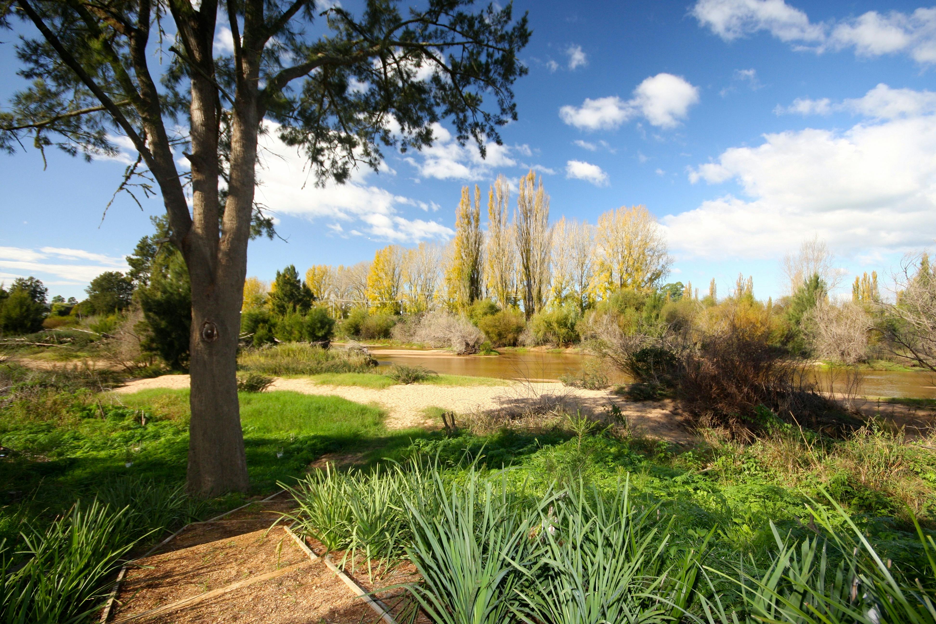 Bega, South Coast, NSW, Sapphire Coast