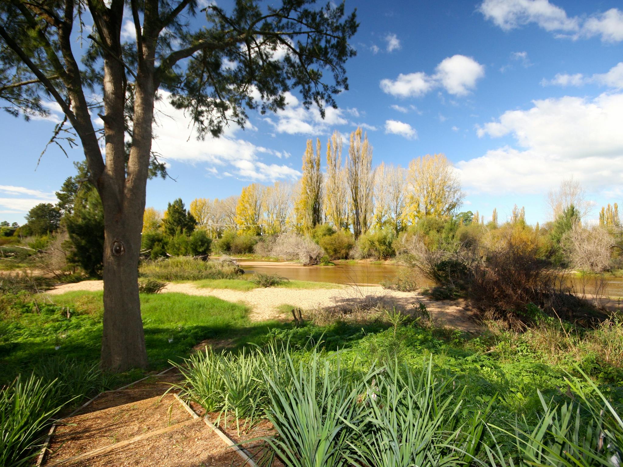 Bega, South Coast, NSW, Sapphire Coast
