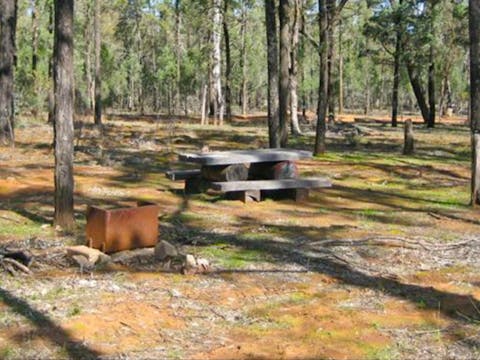 Dubbo Area Activities Nsw Holidays Accommodation Things To Do