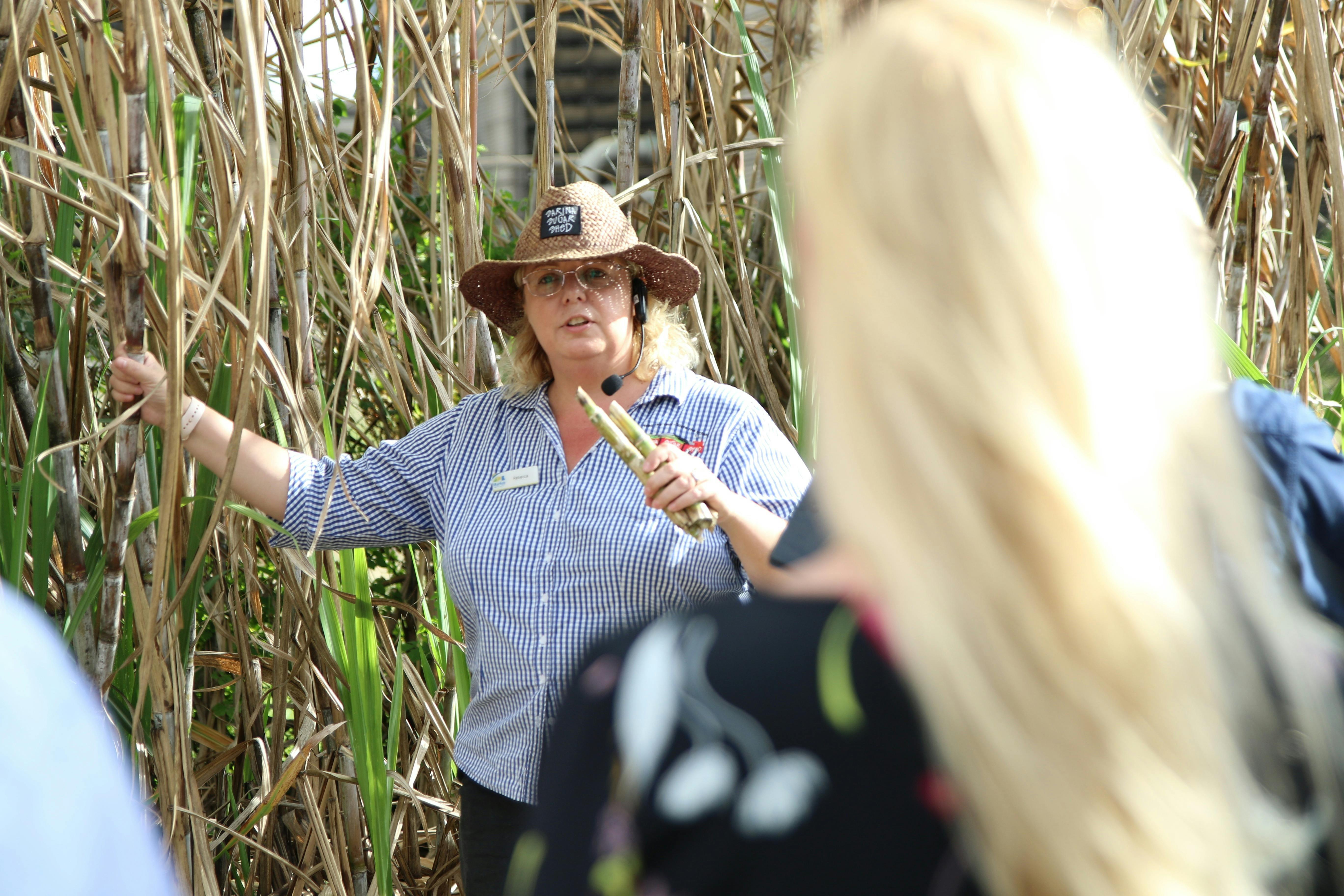 tour host speaking in front of sugar cane
