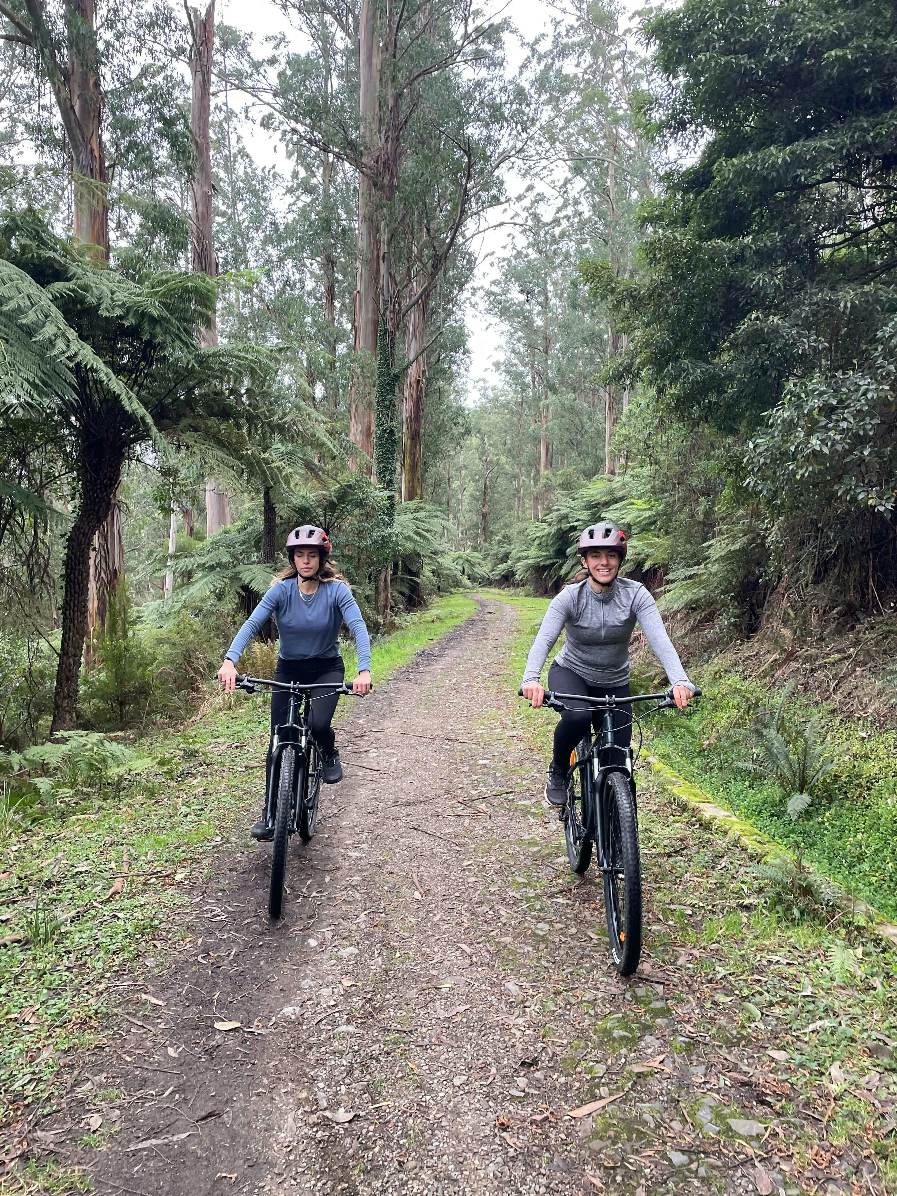 Ride to the Redwood Forest