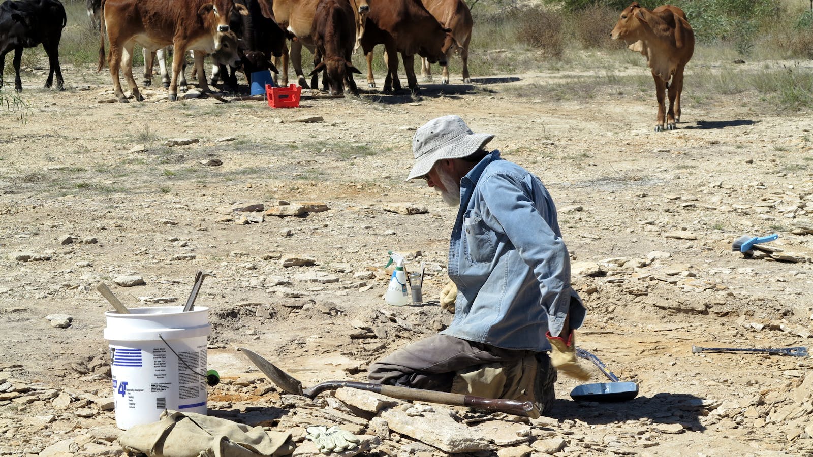 Richmond Fossil Hunting Sites