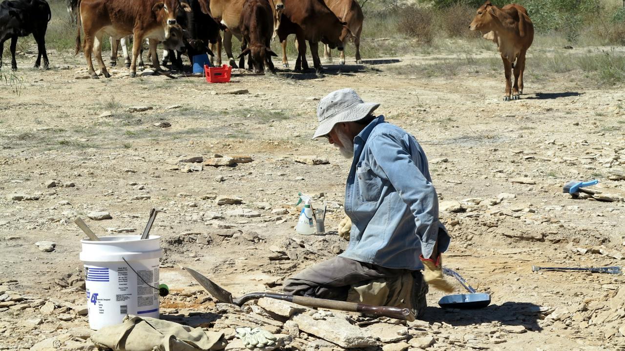 A keen fossil hunter with a crowd of spectators