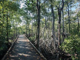 Diversity Trail at Cape Hillsborough National Park