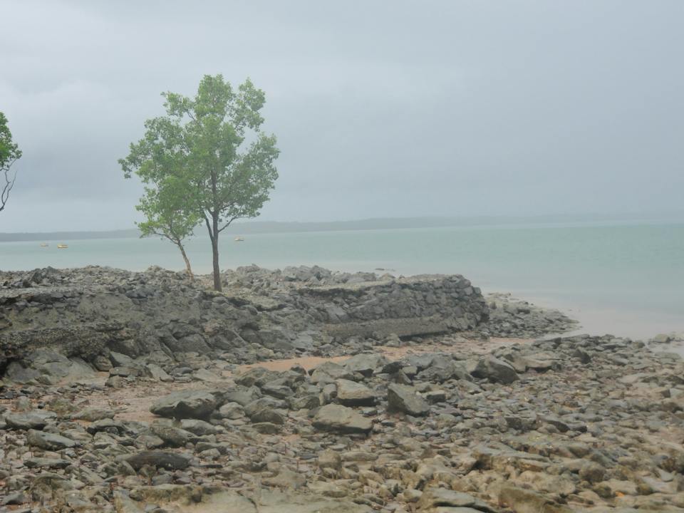 View to reefs. Note mud flats in foreground.