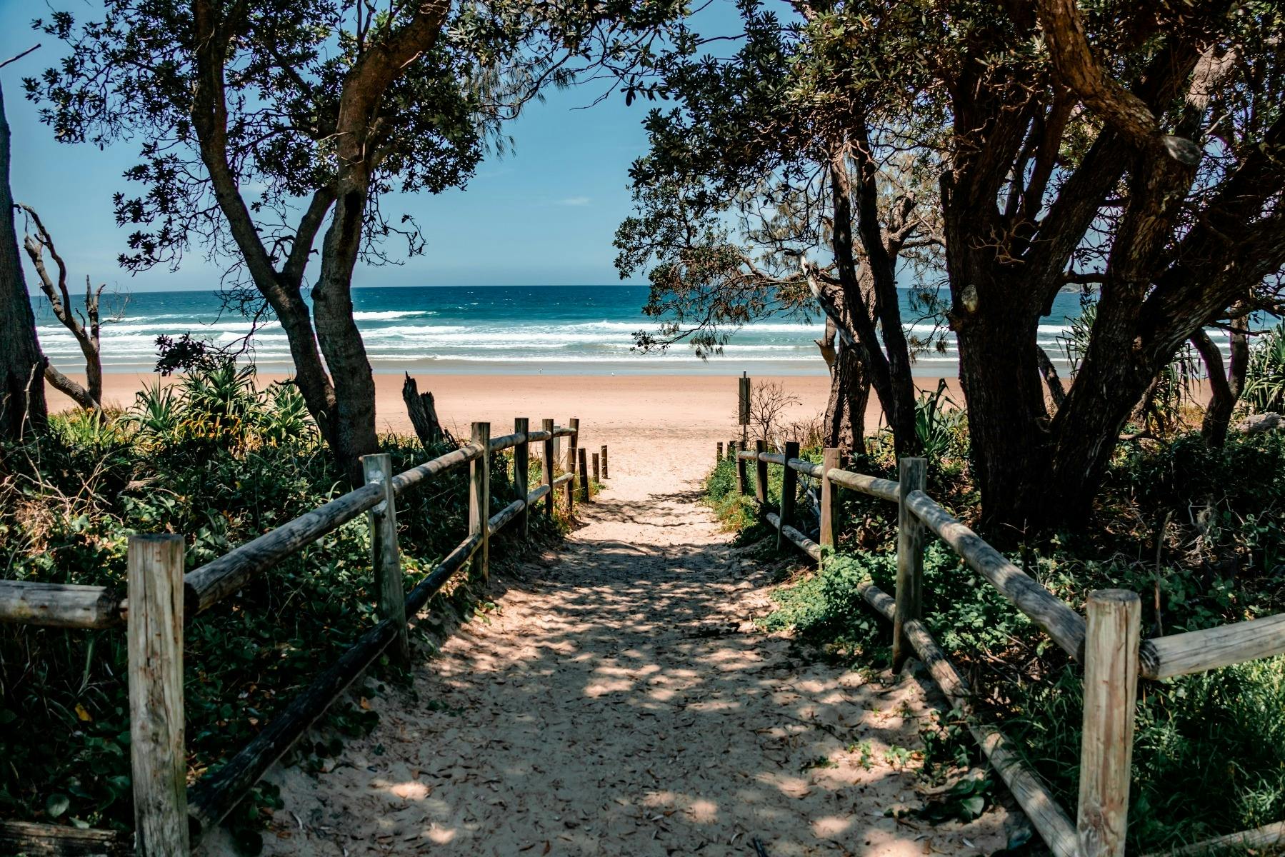 샌디 비치까지 추적