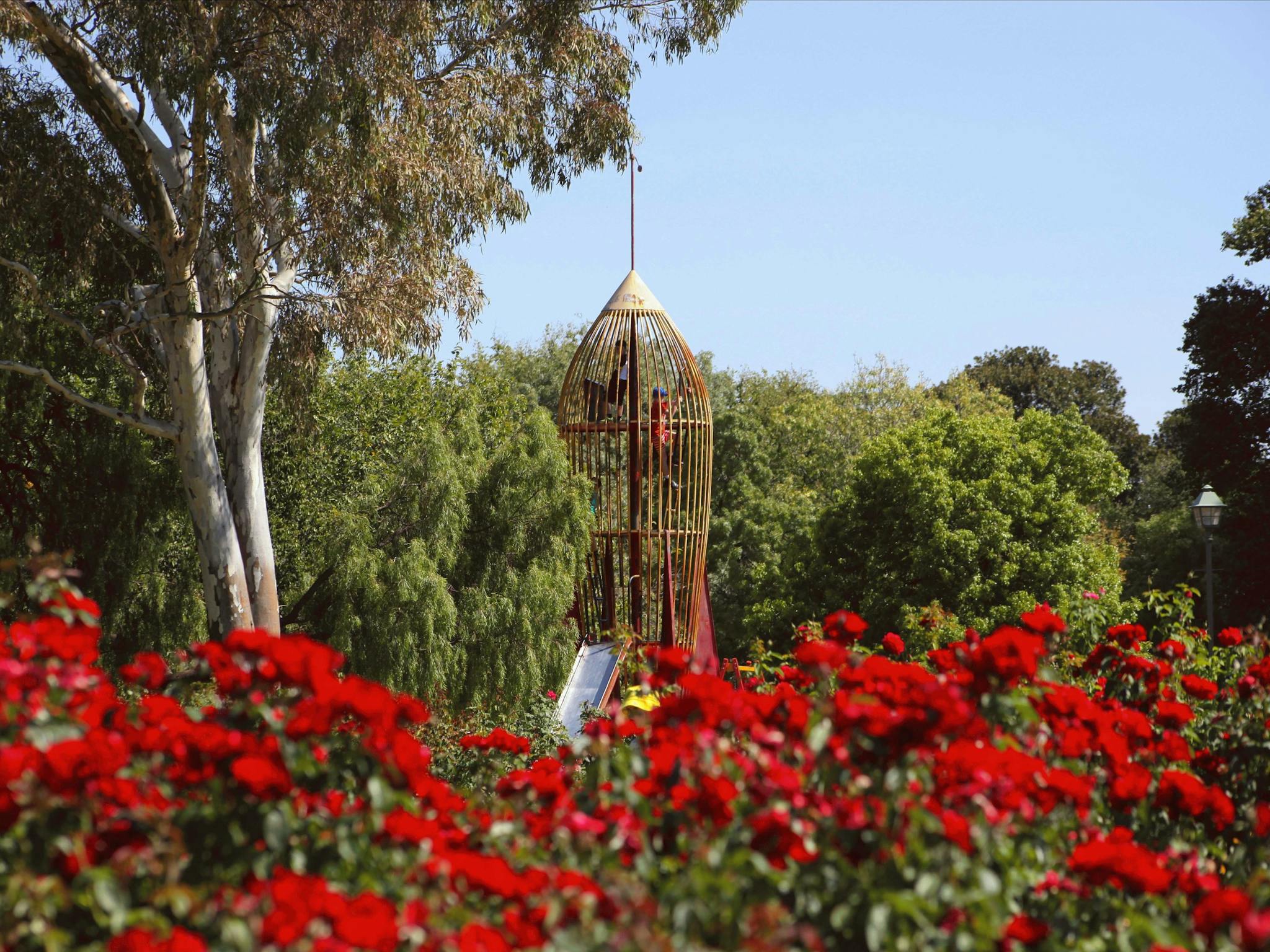 Benalla Botanic Gardens