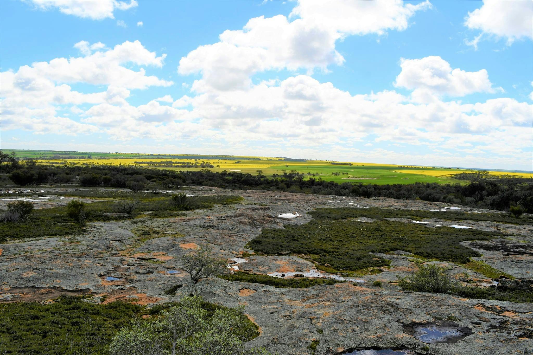 Gathercole Nature Reserve