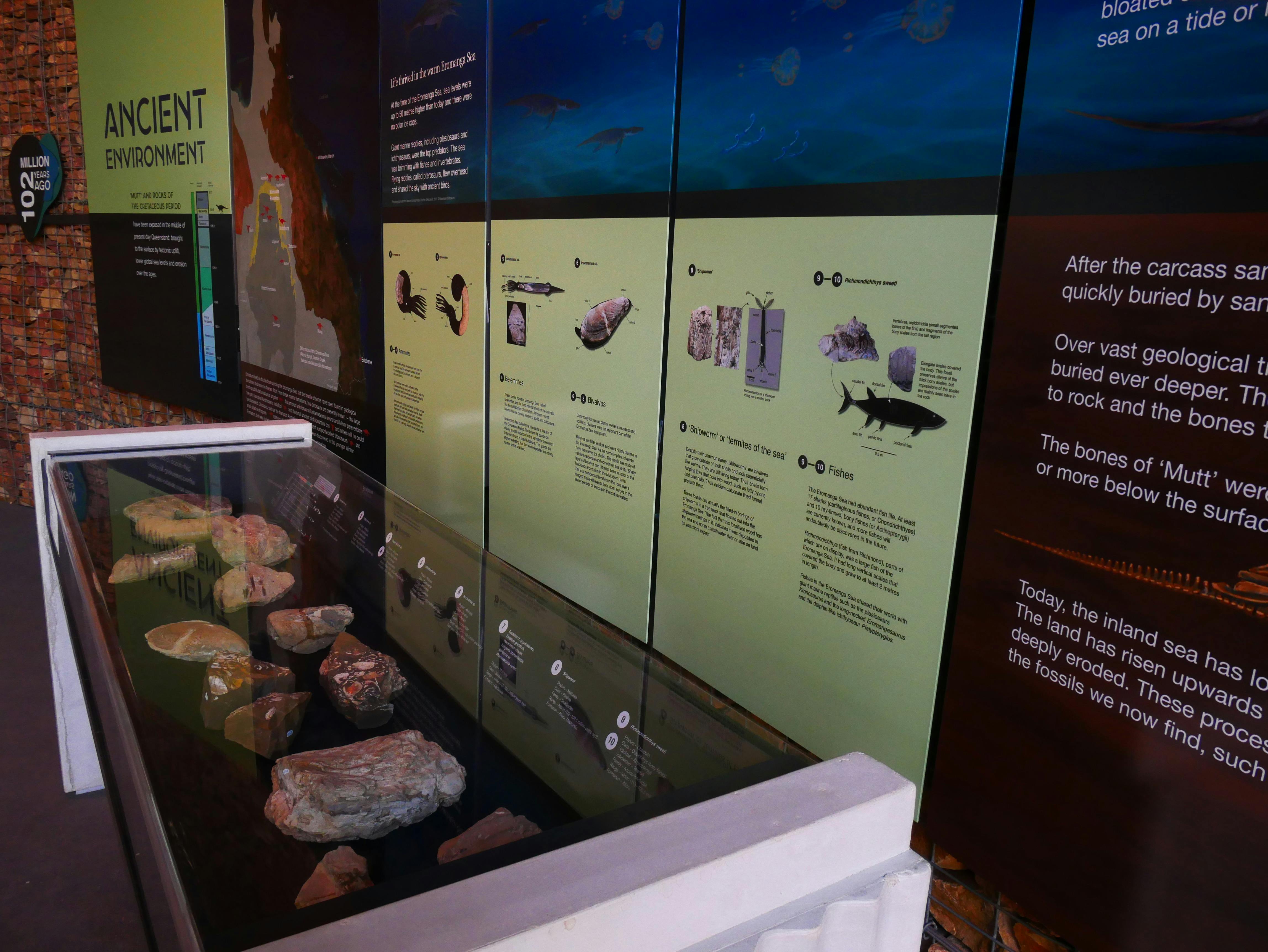 A display at the Muttaburrasaurus Interpretation Centre