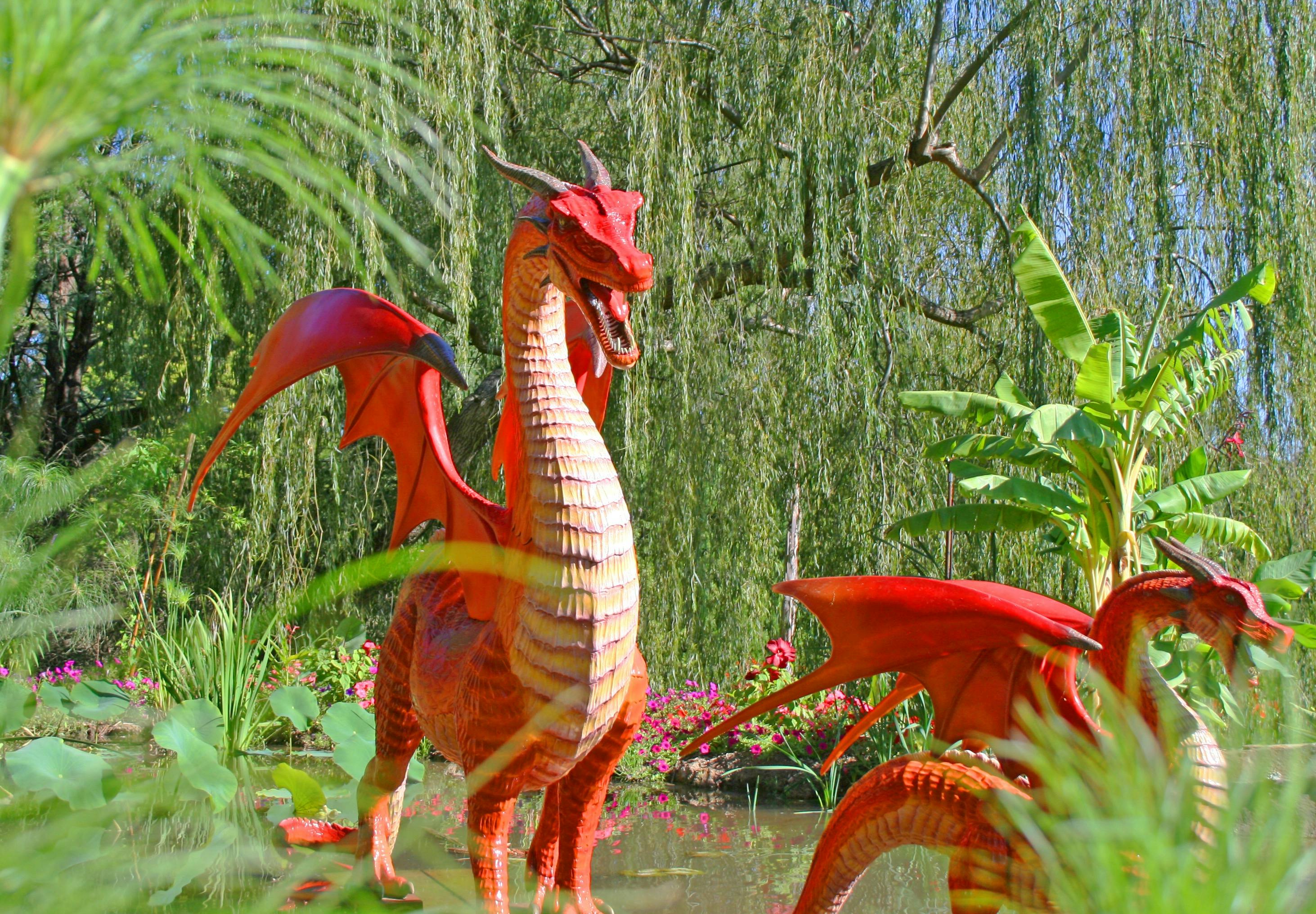 Dragons