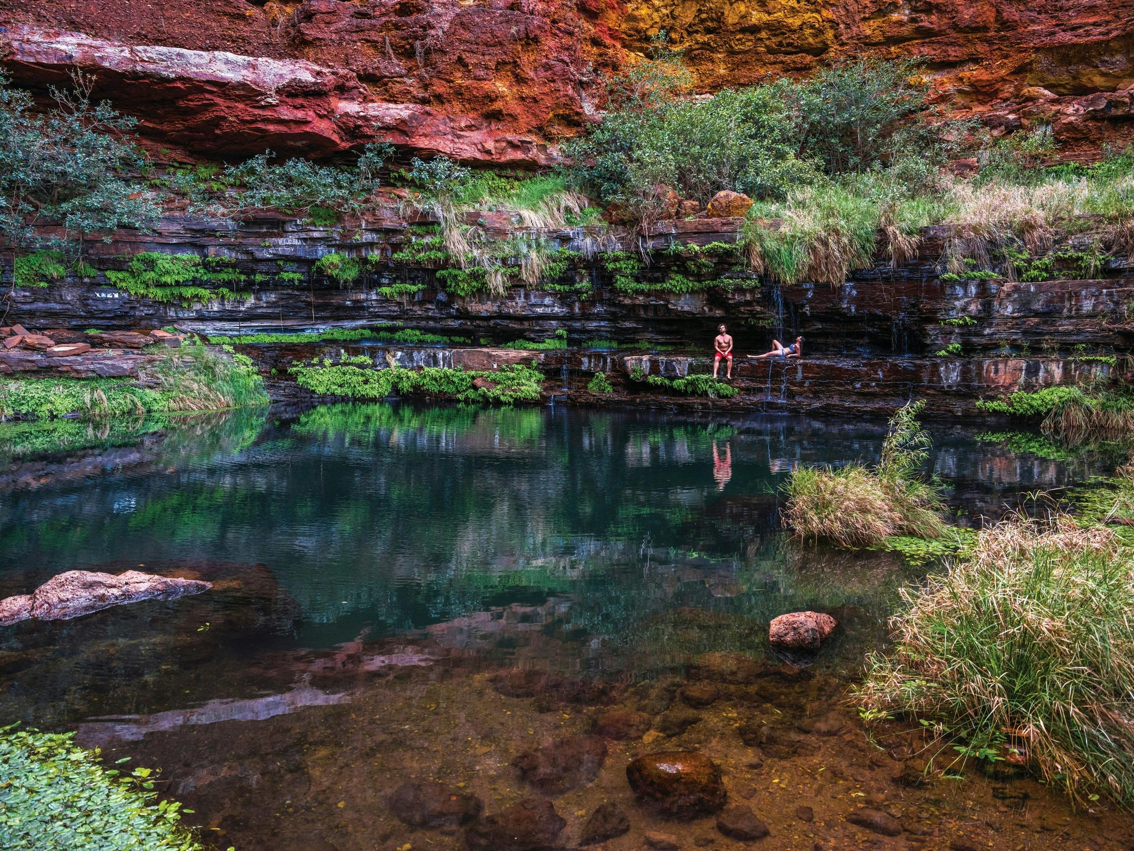 Pilbara Wildflower Trail, Karijini National Park, Western Australia