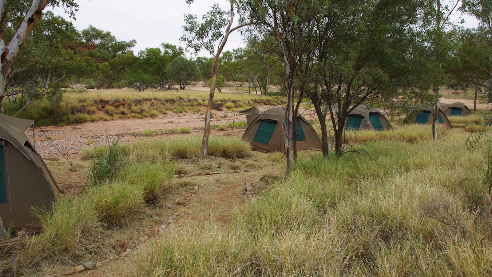 Trek Larapinta