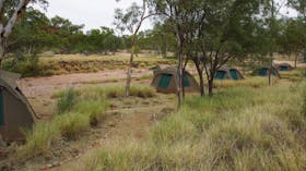 pioneer camp tents