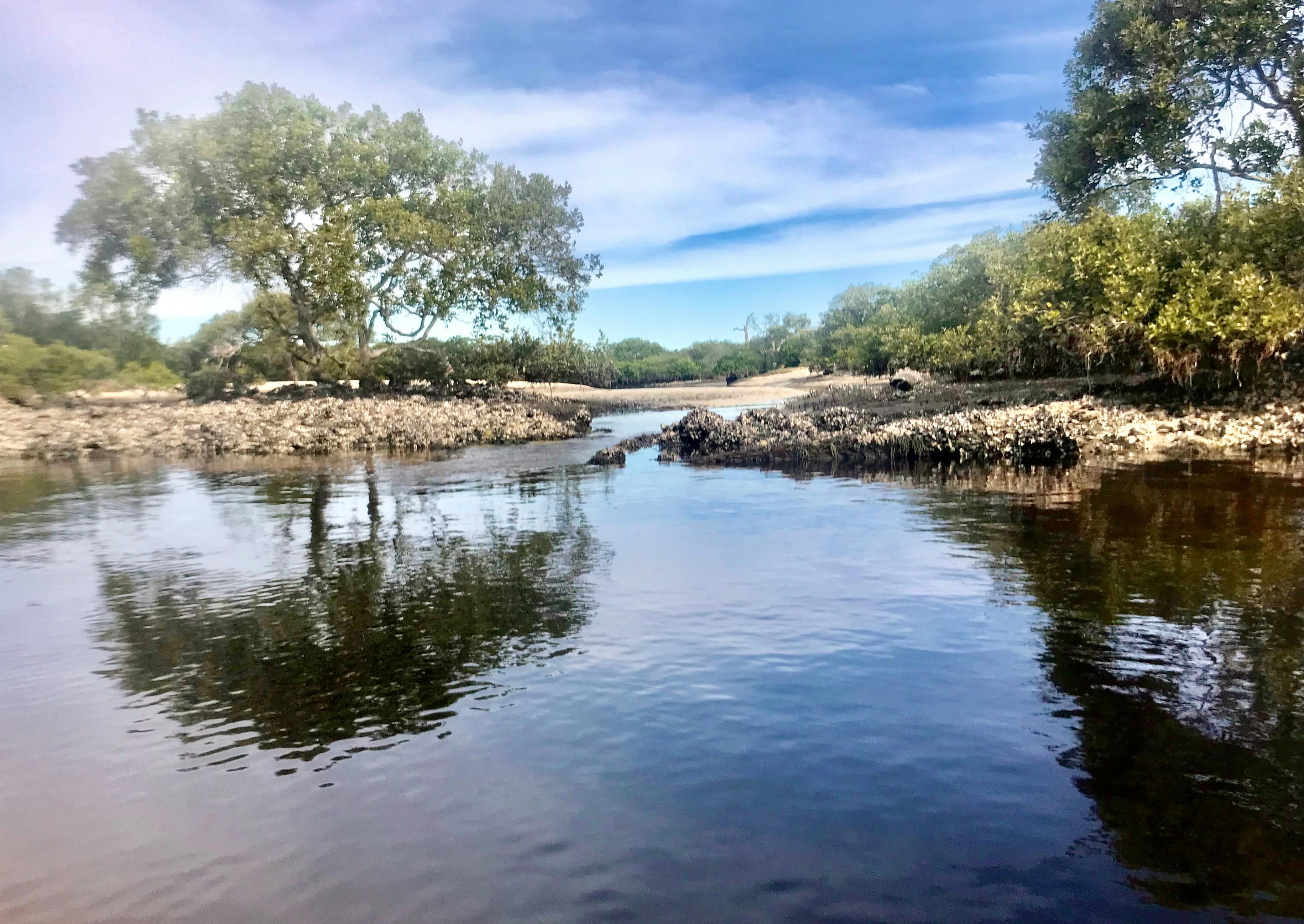 Experience nature up close explore the river with a local
