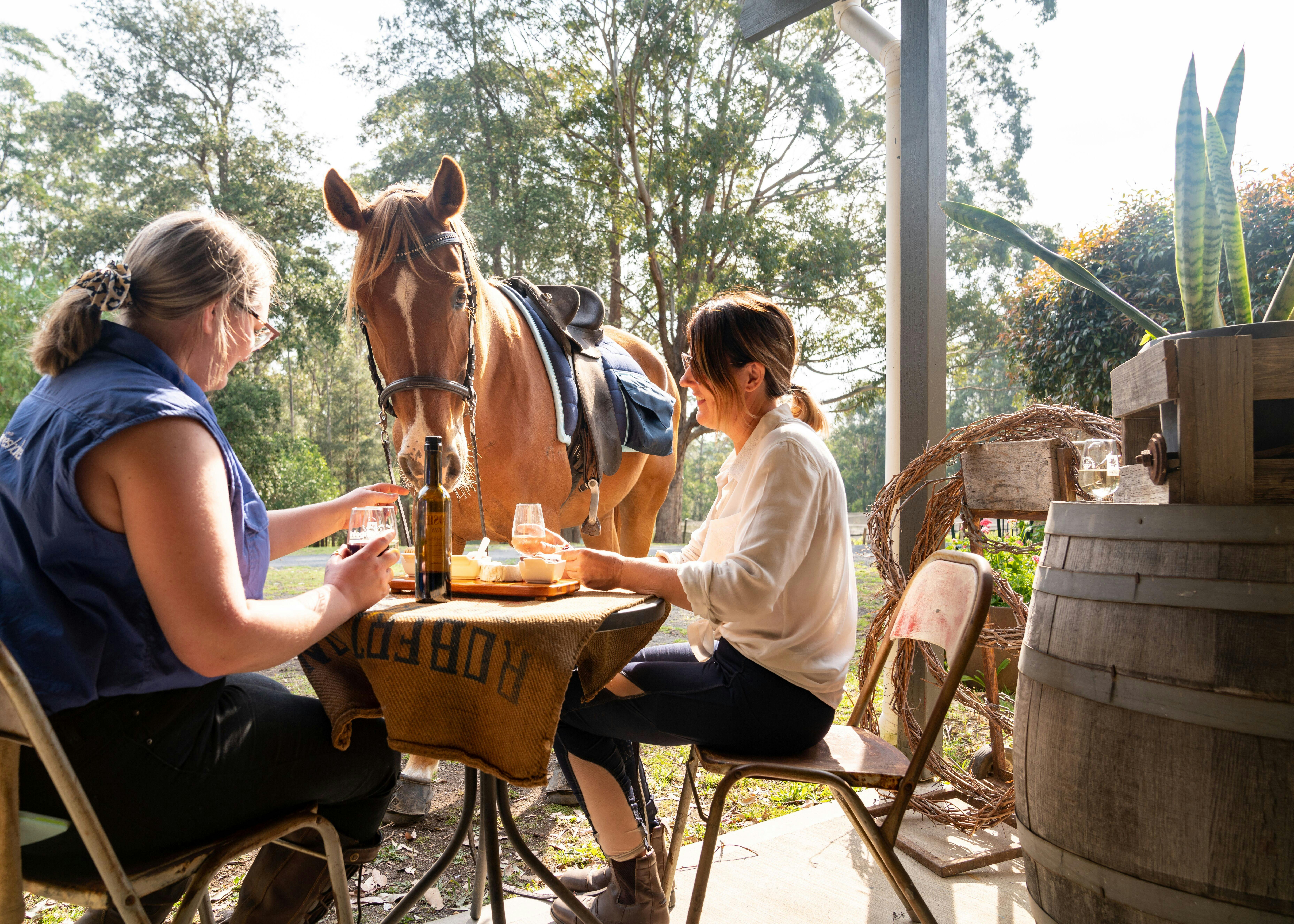 Lyrebird Ridge Organic Wines, Shoalhaven, horses and wine, horses and cheese,