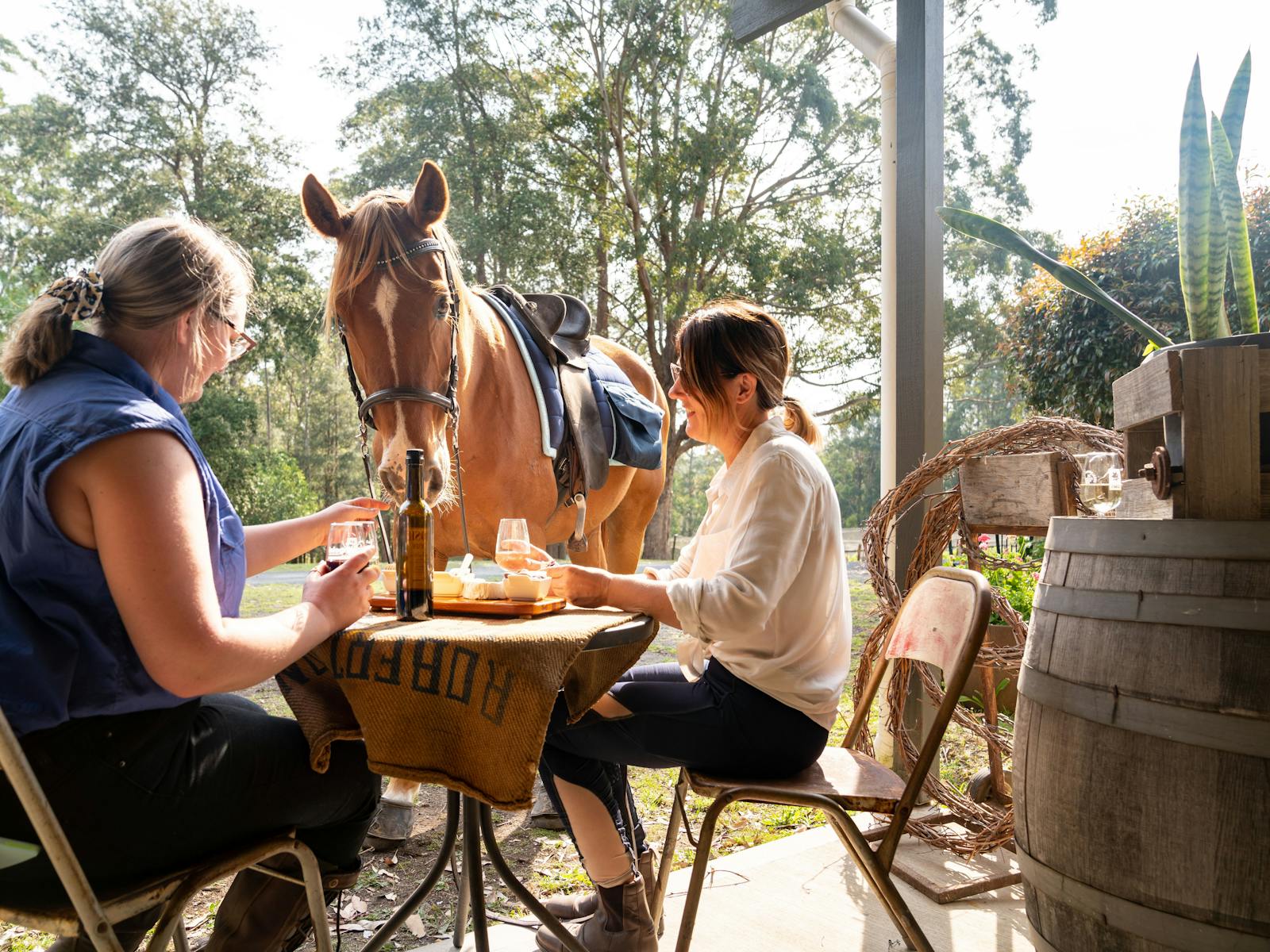 Freddie Bear loves his Cheese at Lyrebird Ridge Organic Wines