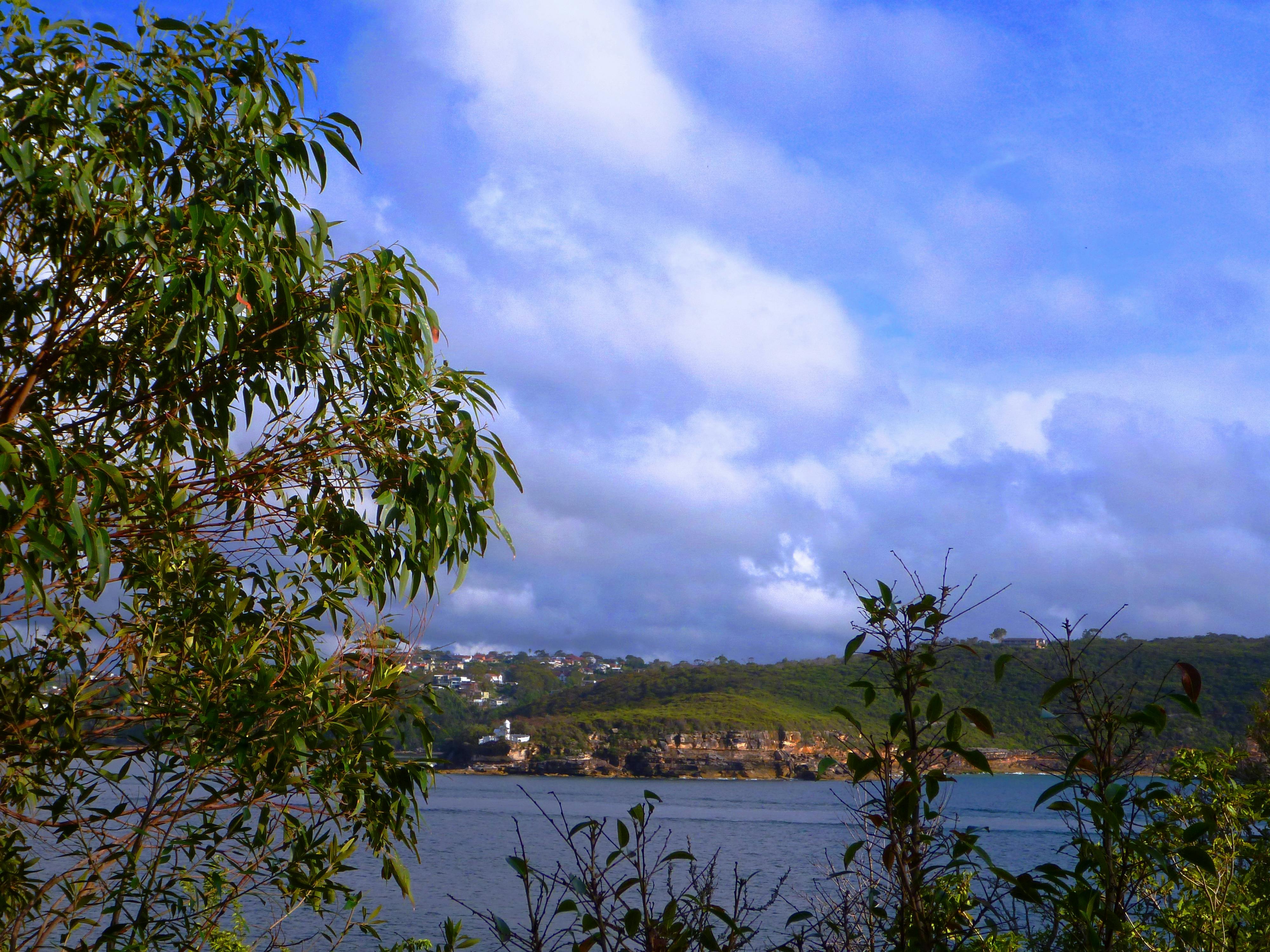 Cobbler's Beach to Grotto Point