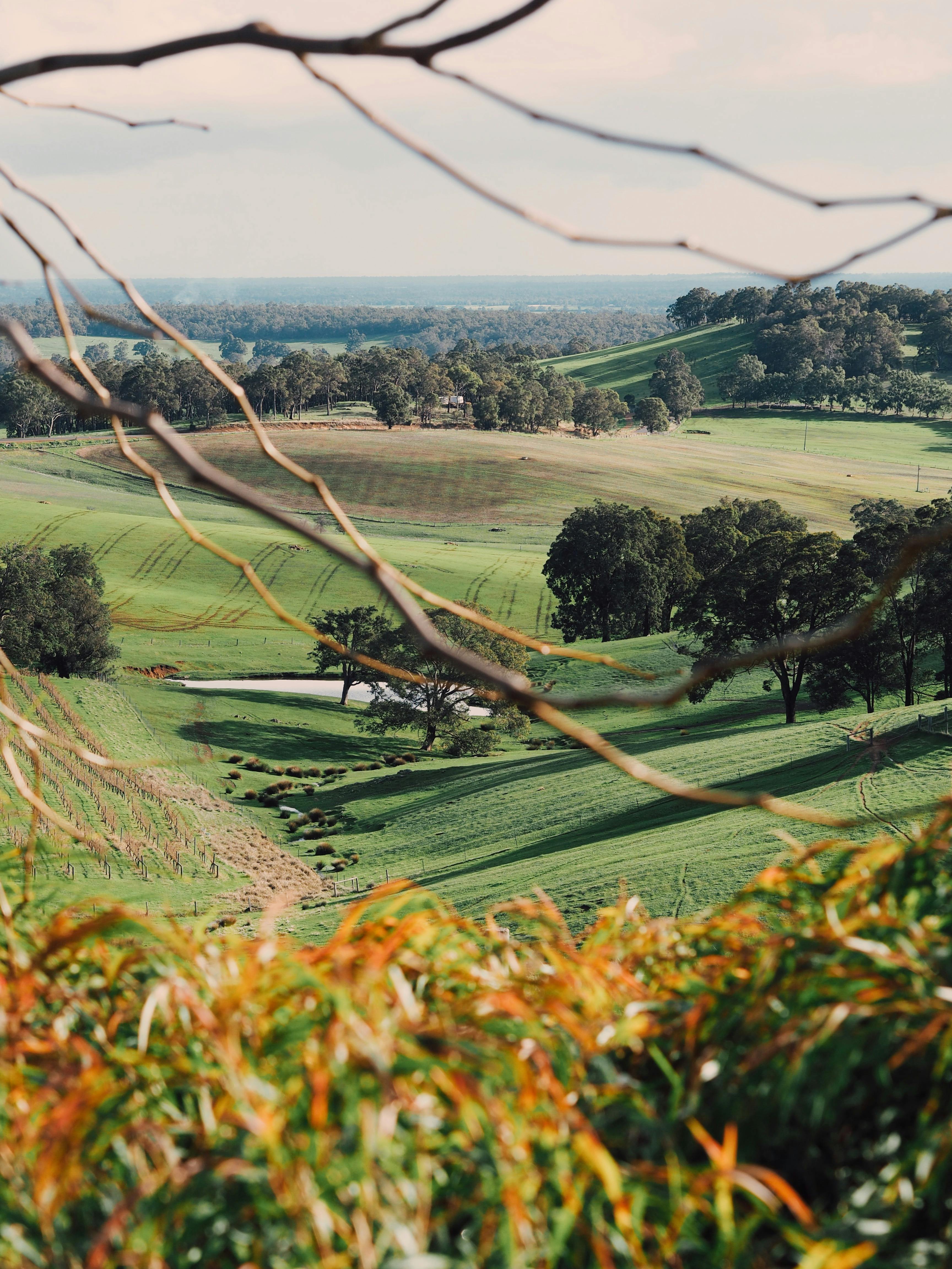 Green Door Winery Cellar Door, Henty, Western Australia