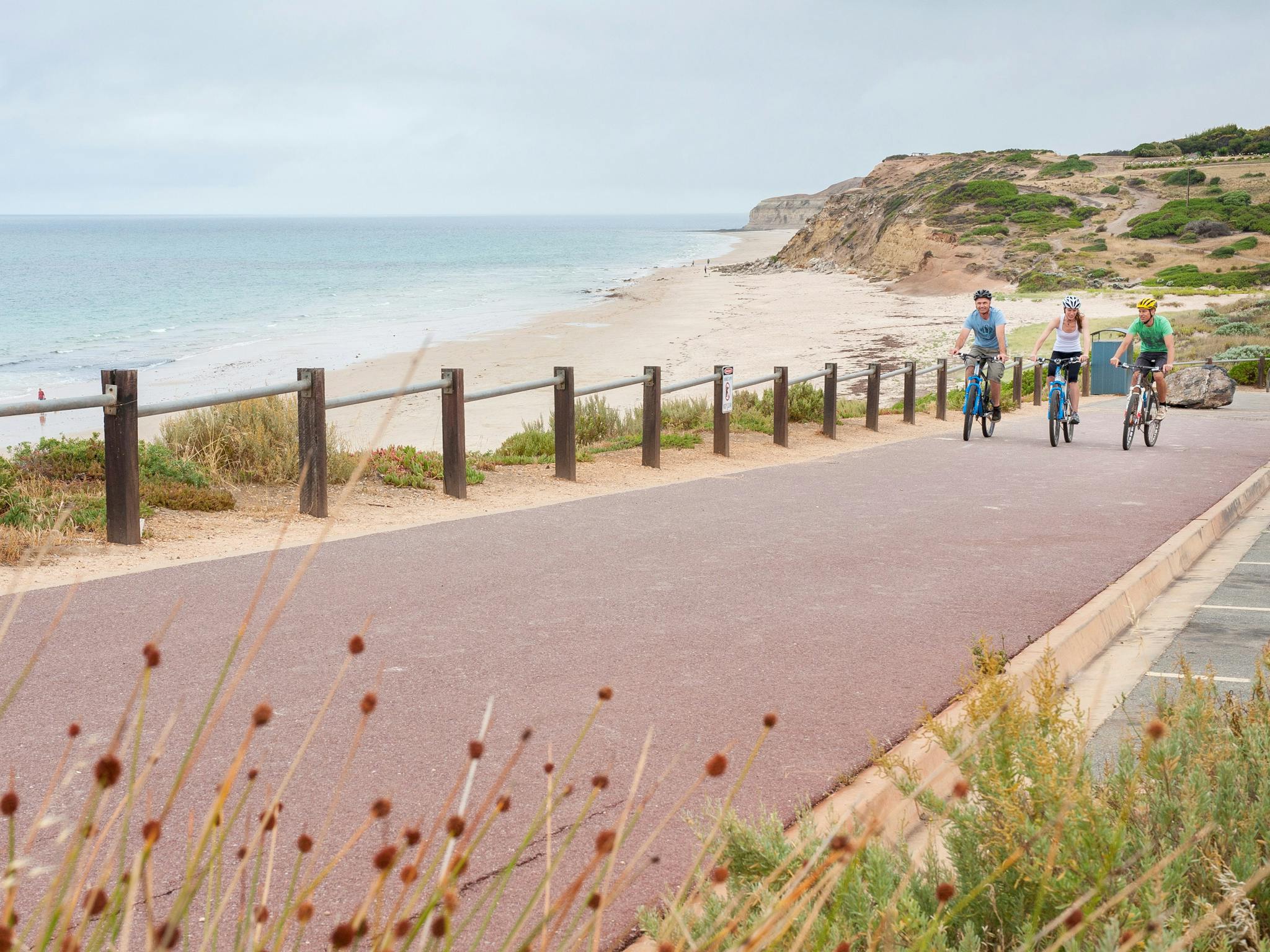 Coast to Vines Trail