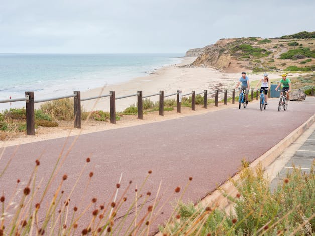 Coast to Vines Rail Trail