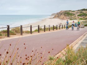 Coast to Vines Rail Trail