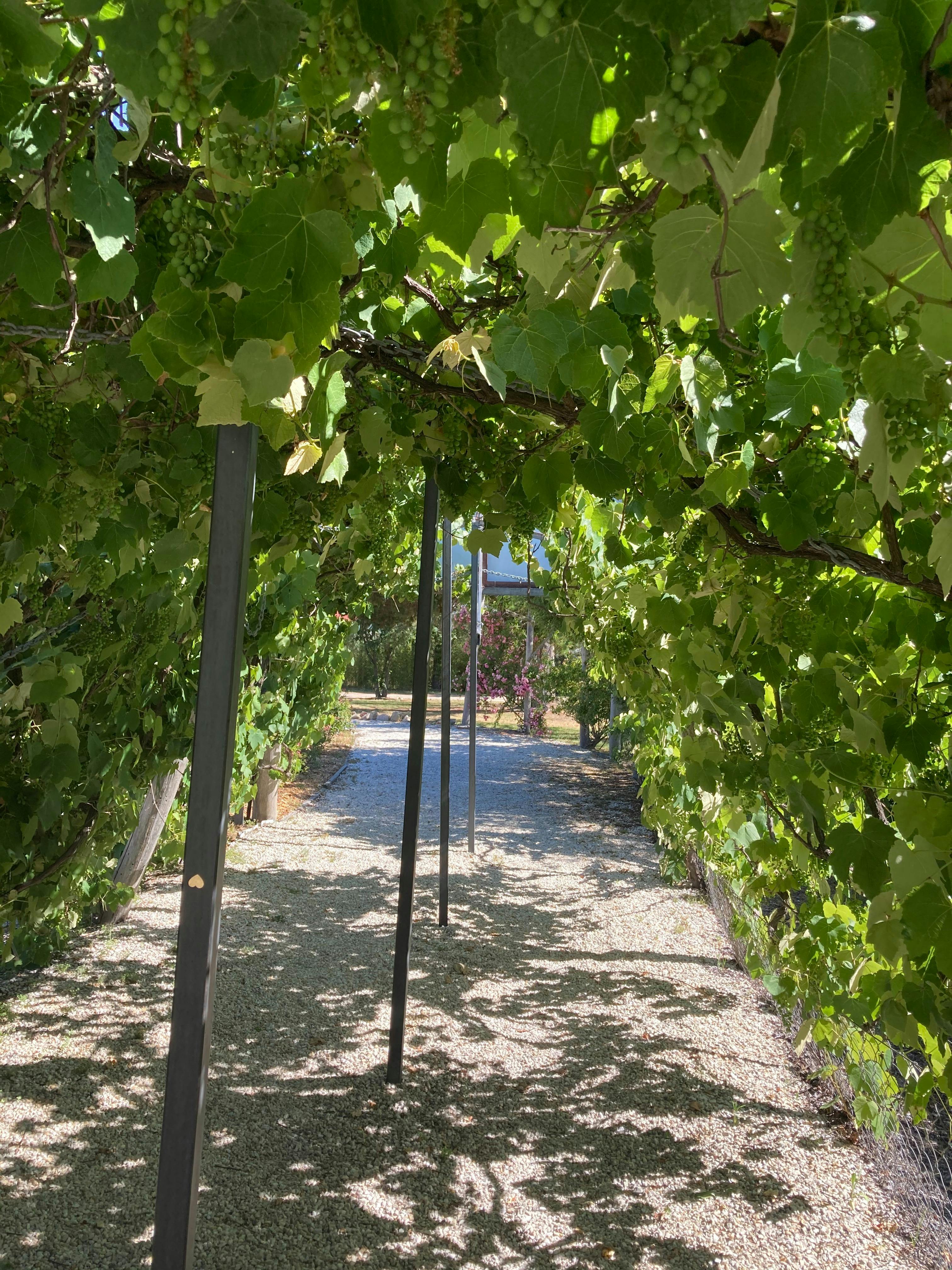 A magnificent entry to Summit Estate Winery