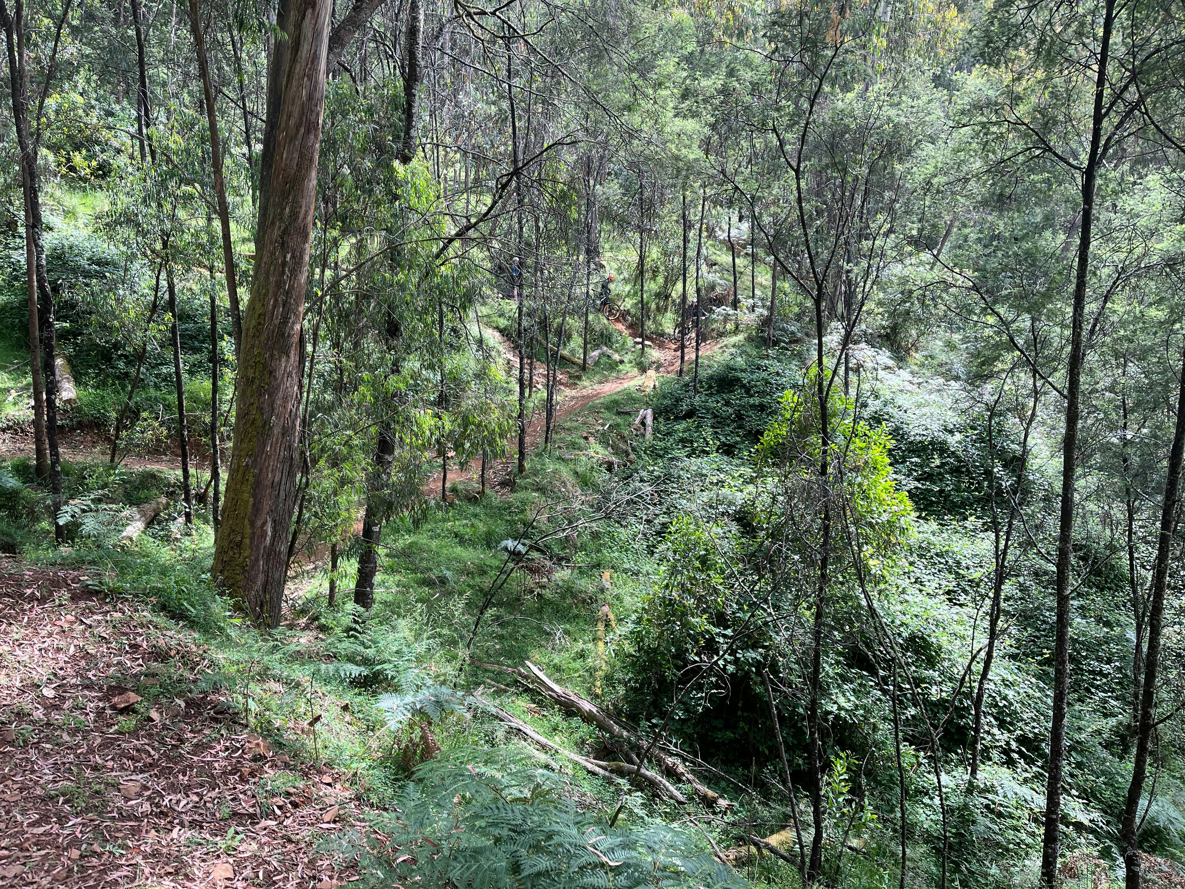 Stunning scenery on Indigo Epic Trail