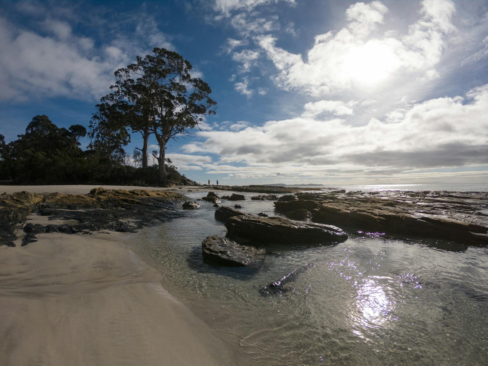 Bruny Island Walking Tours and Bruny Island Food Tours