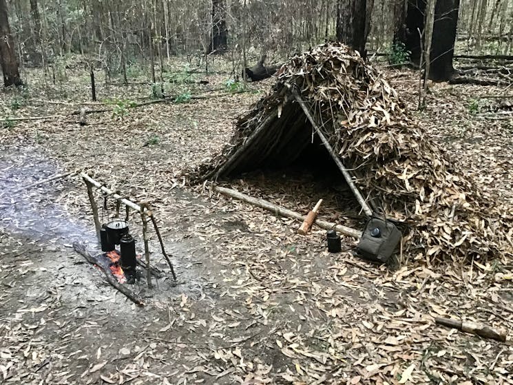 Bushcraft Survival Courses (basic, intermediate, advanced, combined