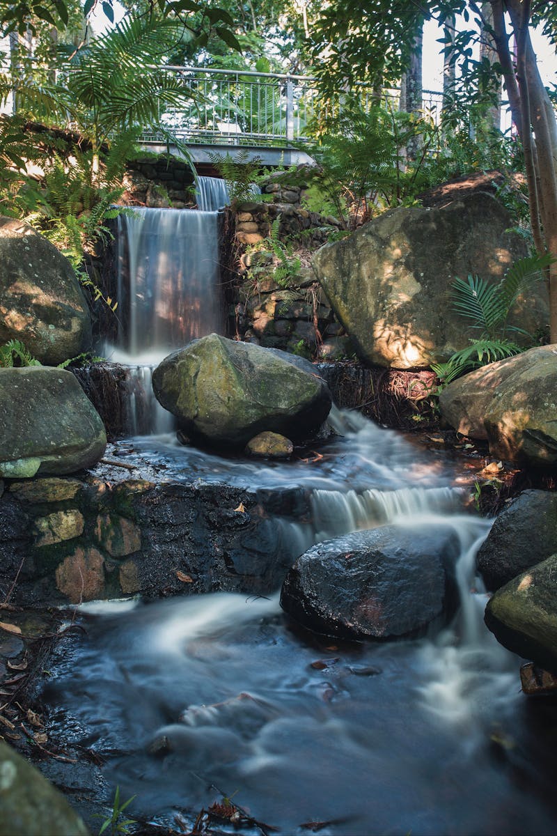 Mackay Regional Botanic Gardens
