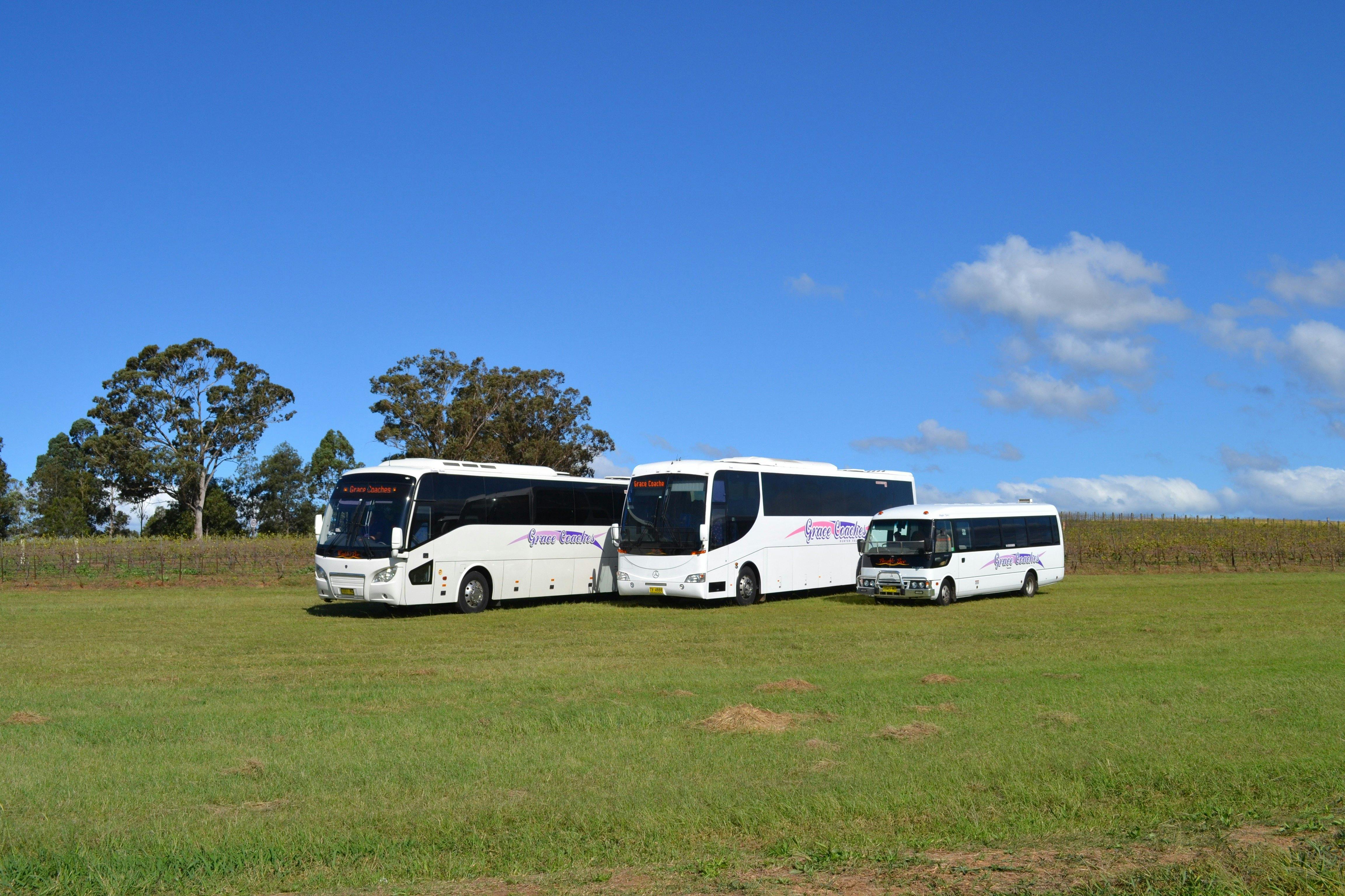 Coaches and deluxe commuter