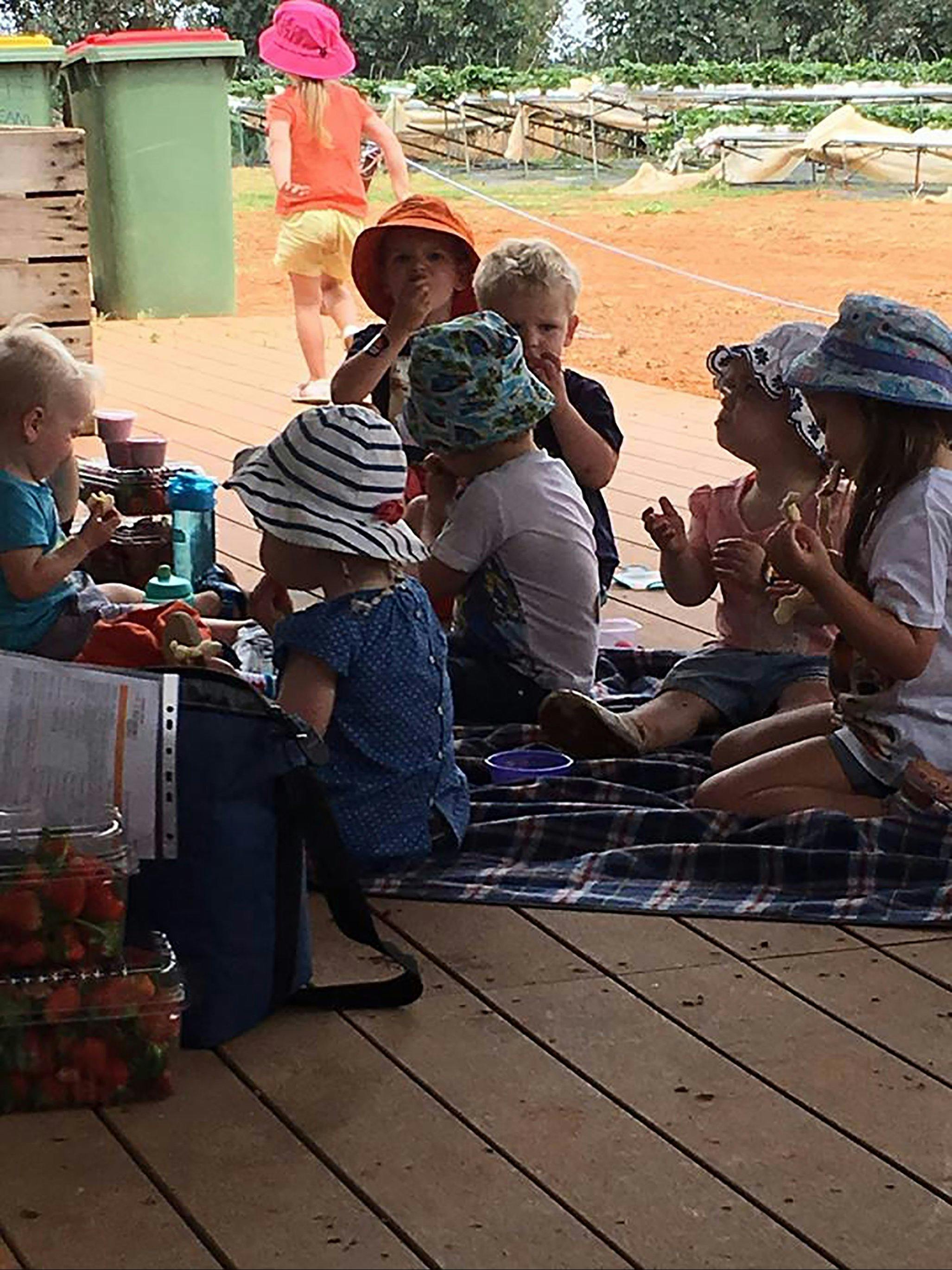 A group of children eating strawberries
