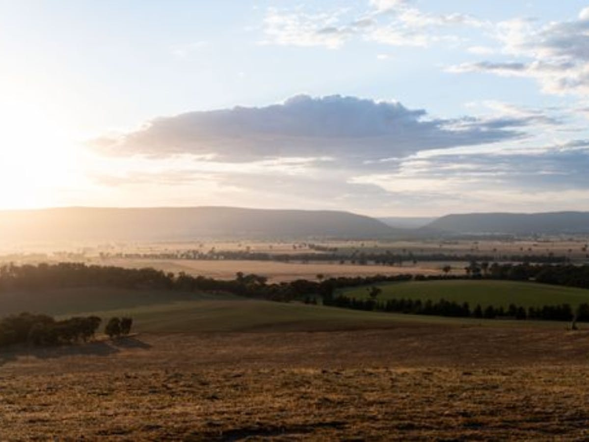 The breathtaking Hilltops environment has served to stimulate much creativity in the region