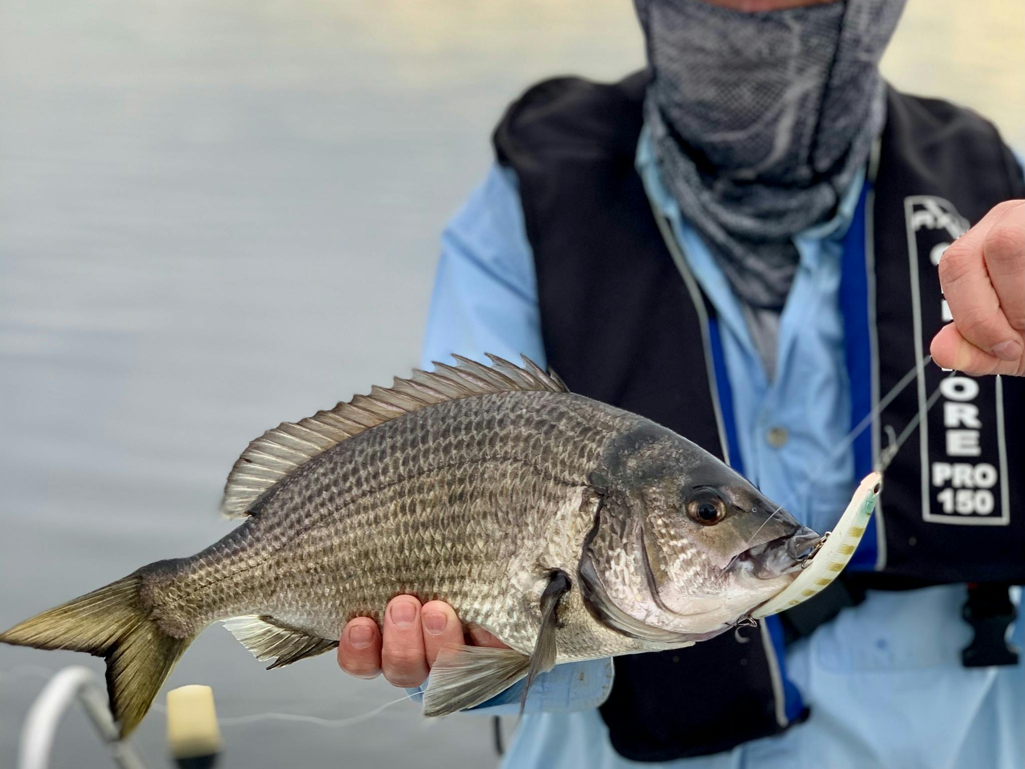 Bemm River Bream