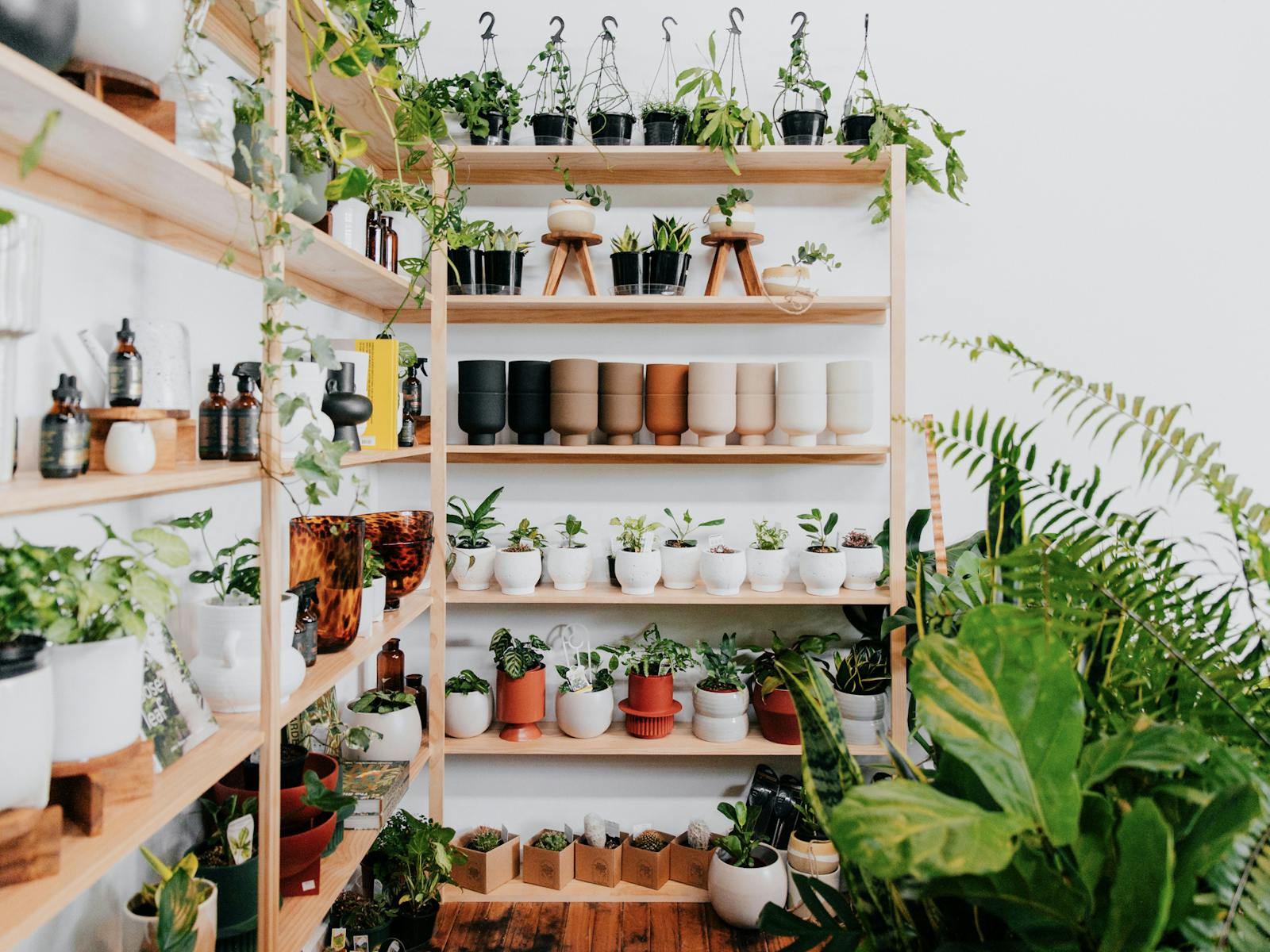 Plants and pots on shelf