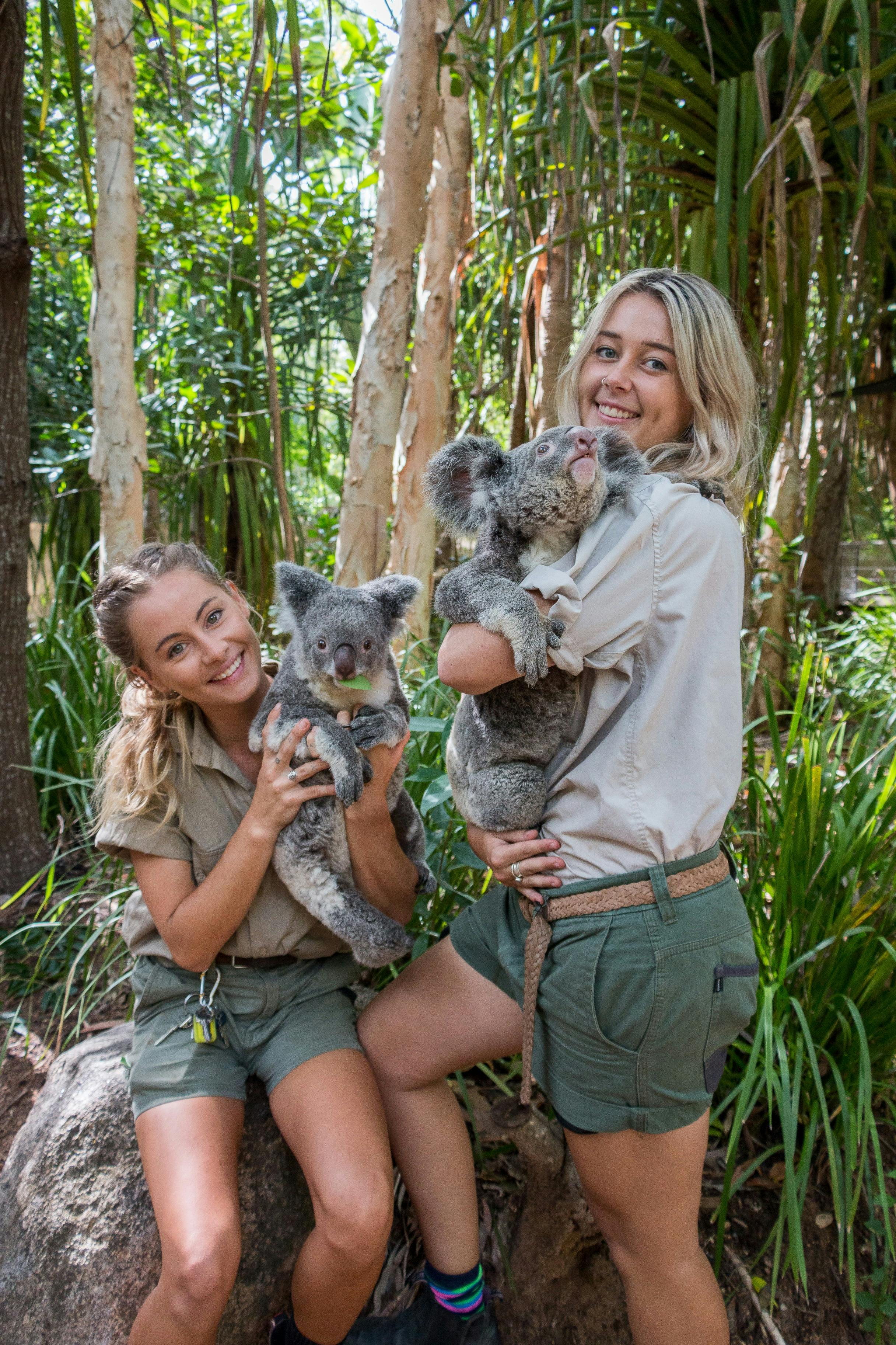 Bounce Magnetic Island Koala and Wildlife Park