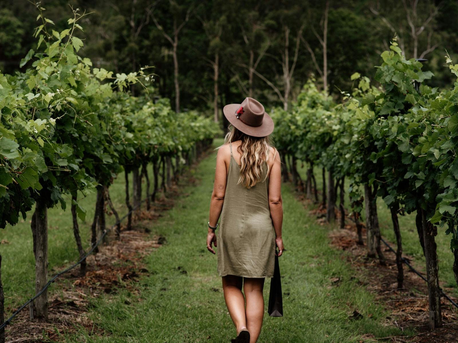 Luxury Wine Tours Luxury Wine Tours