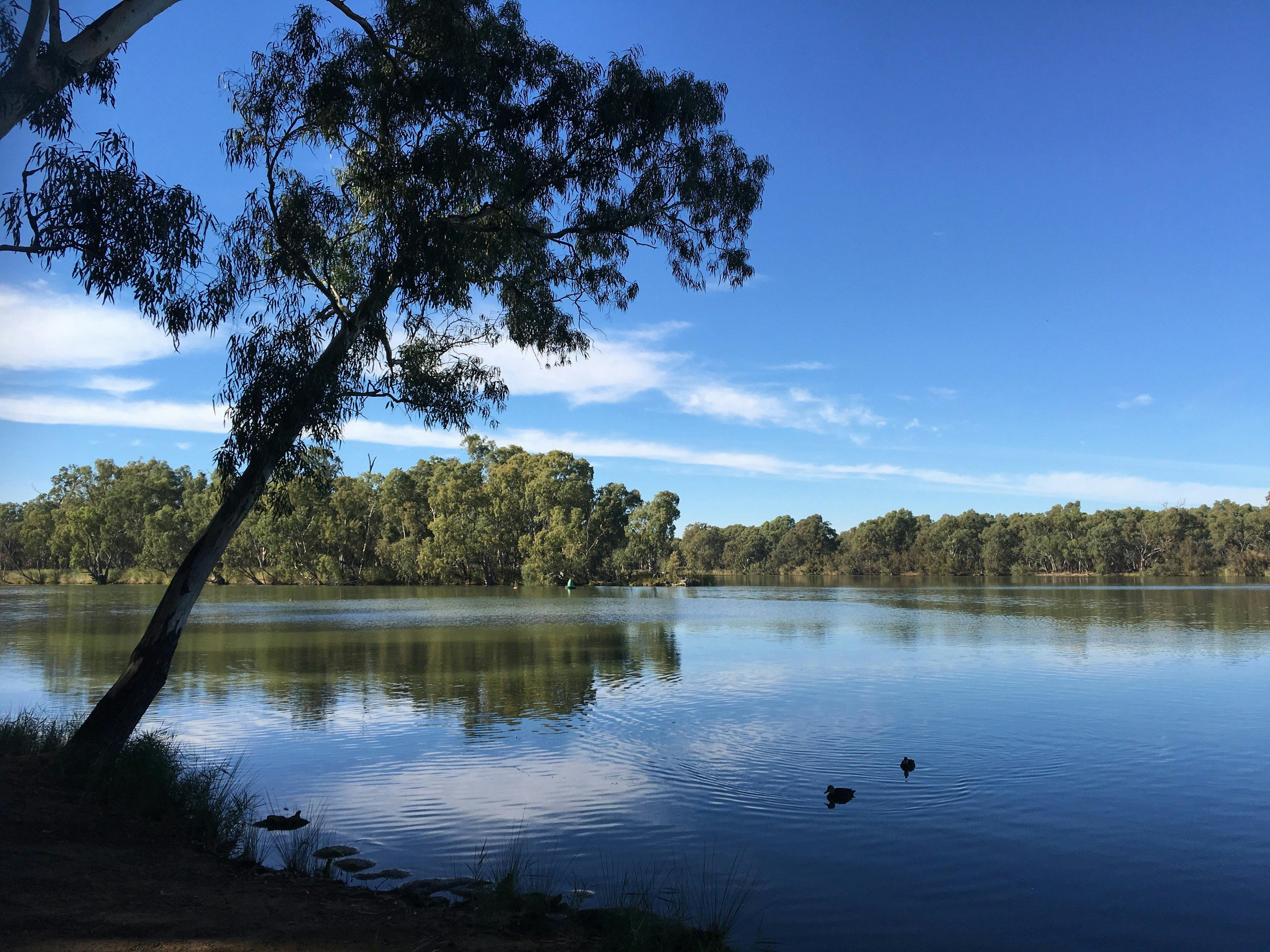 Wetlands and Waterways of Mildura and Murray River Tour and or Mildura to Wentworth