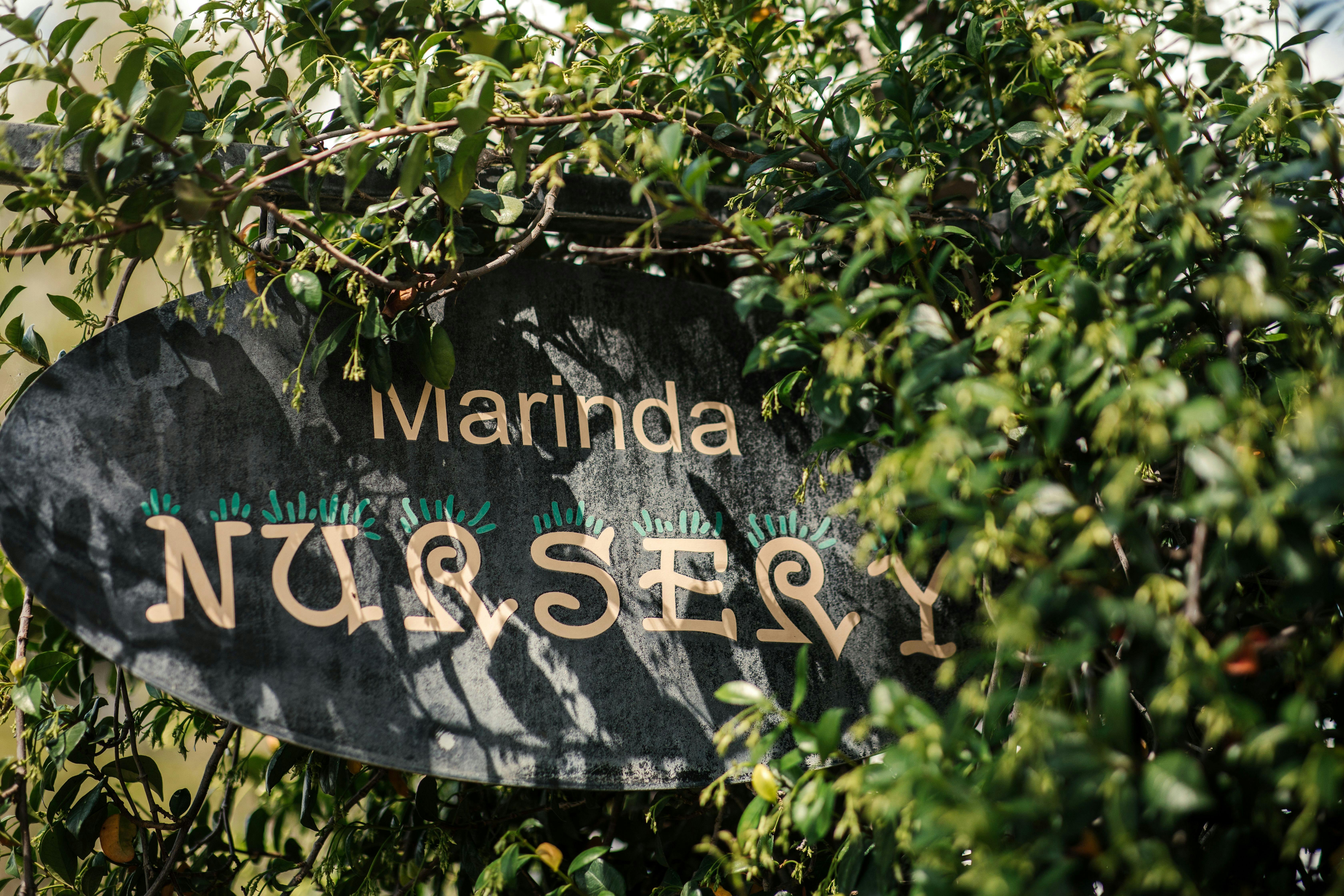 Nursery Sign amongst the vines