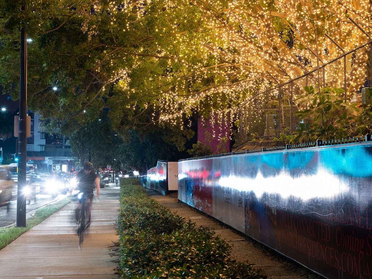 The heritage trees at 600 Coronation Drive lit up with five kilometres of fairy lights
