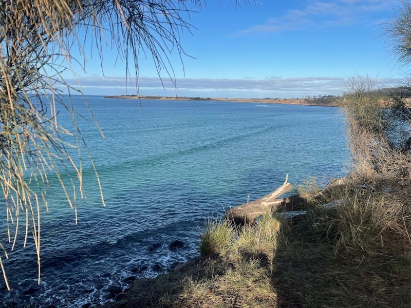 Little Swanport Beach