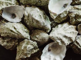 Oyster Palooza at Never Never Distilling Co. Cover Image